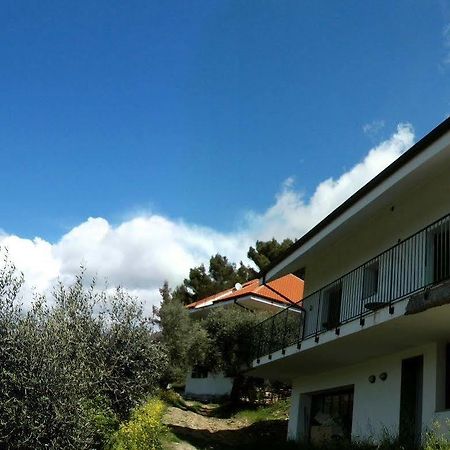 سيبورجا B&B L'Intrigante المظهر الخارجي الصورة