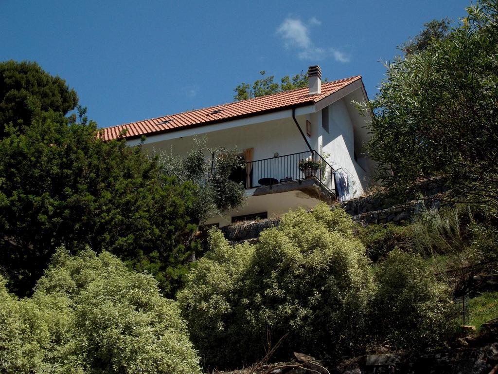 سيبورجا B&B L'Intrigante المظهر الخارجي الصورة